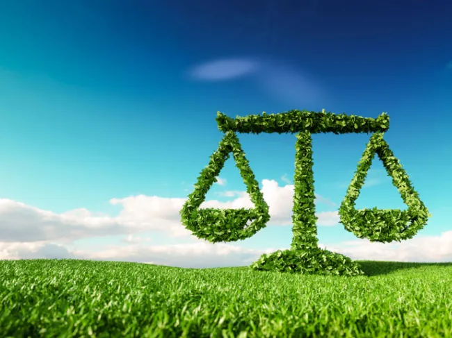 natural law scales